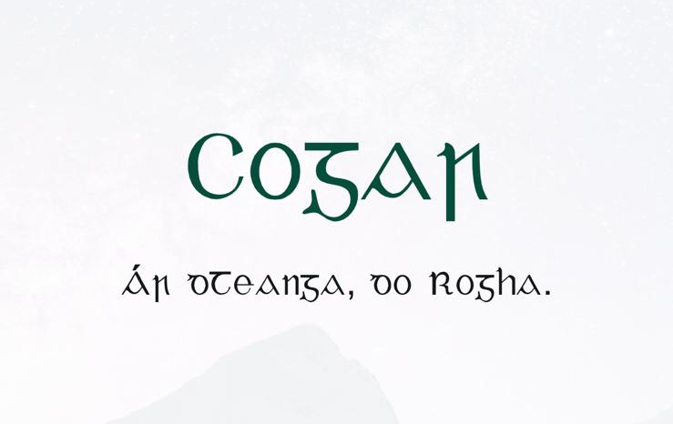 Léiriú ar an táirge Cogar